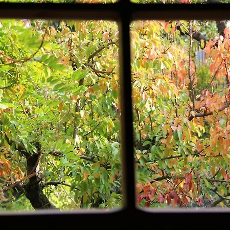 Charming House Near With Private Pool Monteciccardo