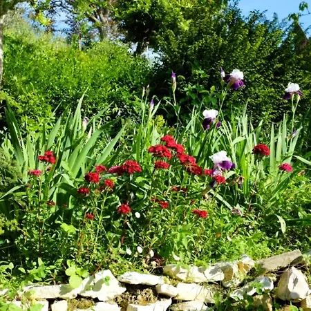 Charming House Near With Private Pool Ferienhaus Monteciccardo
